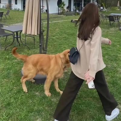 爱的救赎